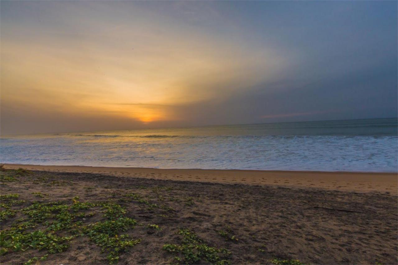 Nikara Nature Resort Arugam Bay Dış mekan fotoğraf